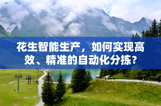 花生智能生产，如何实现高效、精准的自动化分拣？