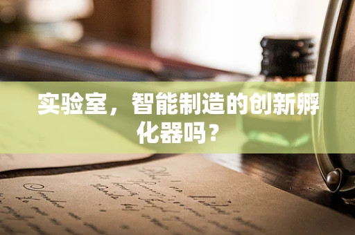 实验室，智能制造的创新孵化器吗？