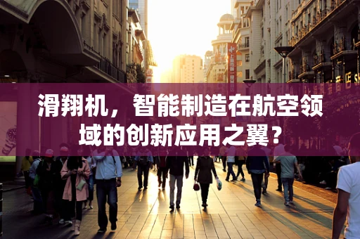 滑翔机，智能制造在航空领域的创新应用之翼？