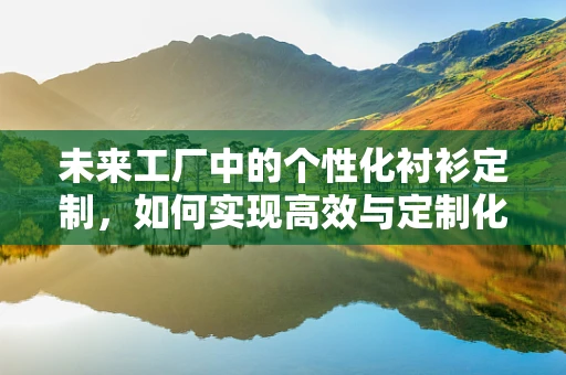 未来工厂中的个性化衬衫定制，如何实现高效与定制化的完美融合？
