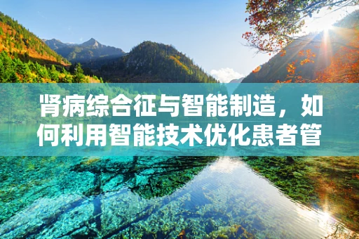 肾病综合征与智能制造，如何利用智能技术优化患者管理？
