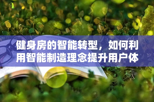 健身房的智能转型，如何利用智能制造理念提升用户体验？