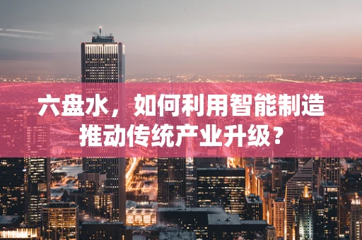 六盘水，如何利用智能制造推动传统产业升级？
