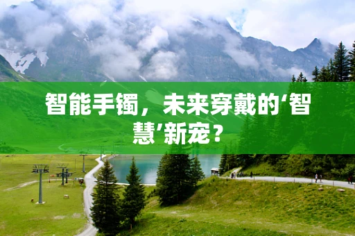 智能手镯，未来穿戴的‘智慧’新宠？