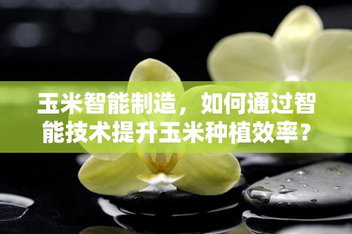 玉米智能制造，如何通过智能技术提升玉米种植效率？