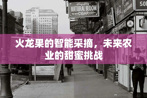 火龙果的智能采摘，未来农业的甜蜜挑战
