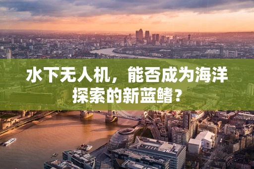 水下无人机，能否成为海洋探索的新蓝鳍？