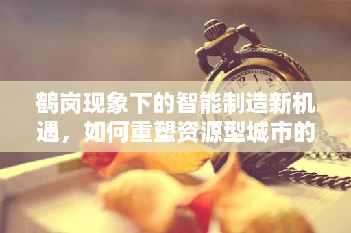 鹤岗现象下的智能制造新机遇，如何重塑资源型城市的经济活力？