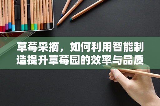 草莓采摘，如何利用智能制造提升草莓园的效率与品质？