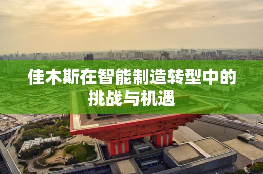佳木斯在智能制造转型中的挑战与机遇