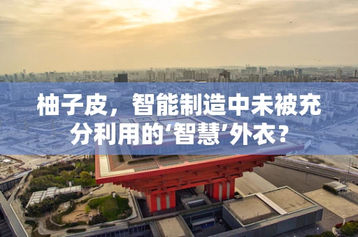 柚子皮，智能制造中未被充分利用的‘智慧’外衣？