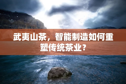 武夷山茶，智能制造如何重塑传统茶业？