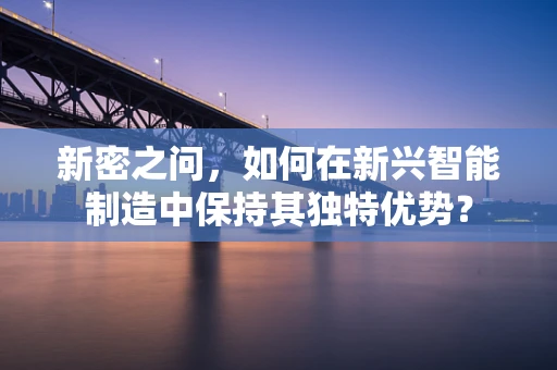 新密之问，如何在新兴智能制造中保持其独特优势？