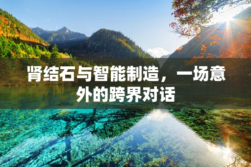 肾结石与智能制造，一场意外的跨界对话
