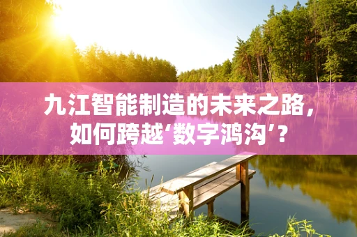 九江智能制造的未来之路，如何跨越‘数字鸿沟’？