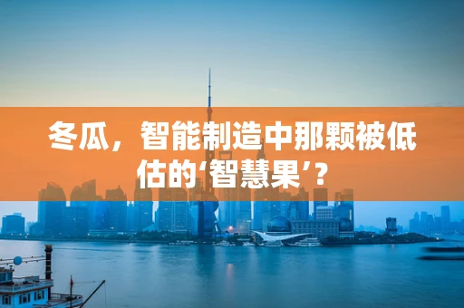 冬瓜，智能制造中那颗被低估的‘智慧果’？