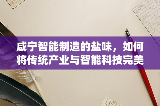 咸宁智能制造的盐味，如何将传统产业与智能科技完美融合？