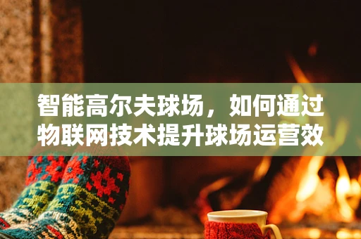 智能高尔夫球场，如何通过物联网技术提升球场运营效率？