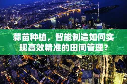 蒜苗种植，智能制造如何实现高效精准的田间管理？