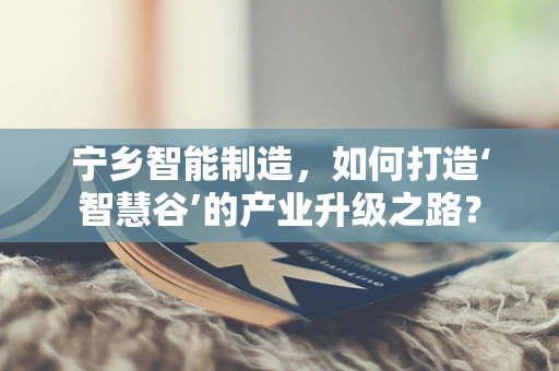 宁乡智能制造，如何打造‘智慧谷’的产业升级之路？