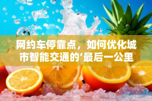 网约车停靠点，如何优化城市智能交通的‘最后一公里’？