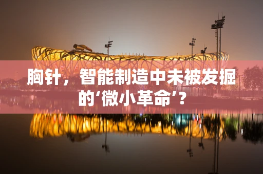 胸针，智能制造中未被发掘的‘微小革命’？