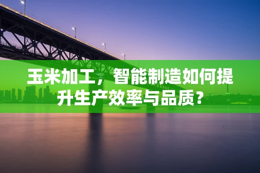 玉米加工，智能制造如何提升生产效率与品质？