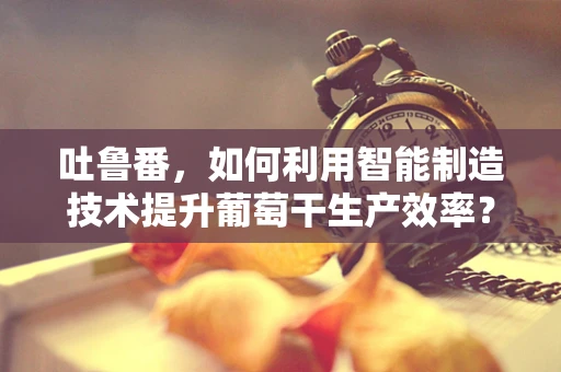 吐鲁番，如何利用智能制造技术提升葡萄干生产效率？