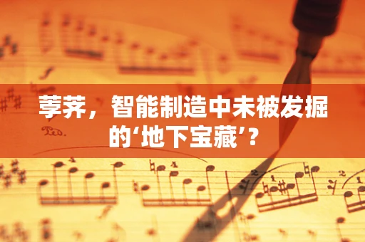 荸荠，智能制造中未被发掘的‘地下宝藏’？