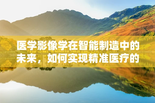 医学影像学在智能制造中的未来，如何实现精准医疗的智能制造？