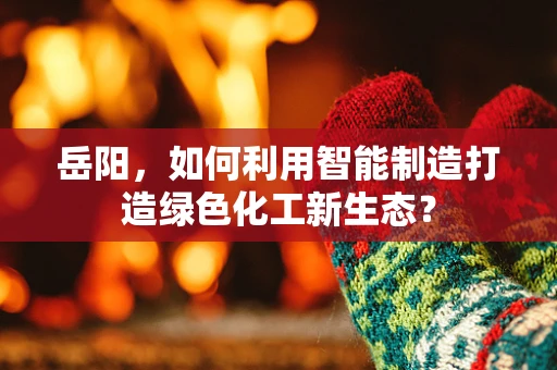 岳阳，如何利用智能制造打造绿色化工新生态？