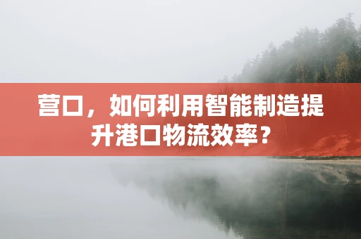 营口，如何利用智能制造提升港口物流效率？