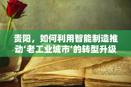 贵阳，如何利用智能制造推动‘老工业城市’的转型升级？