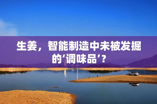 生姜，智能制造中未被发掘的‘调味品’？