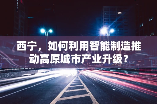 西宁，如何利用智能制造推动高原城市产业升级？