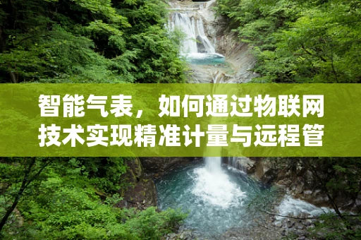 智能气表，如何通过物联网技术实现精准计量与远程管理？