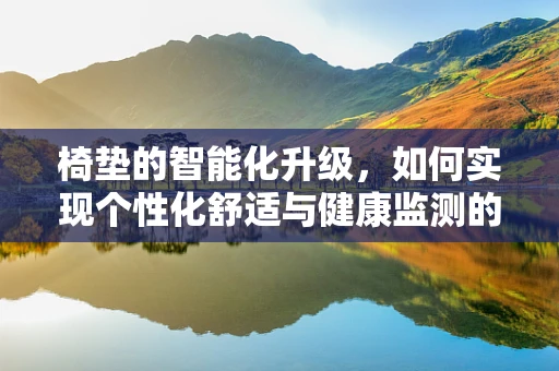 椅垫的智能化升级，如何实现个性化舒适与健康监测的完美结合？