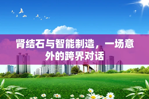 肾结石与智能制造，一场意外的跨界对话