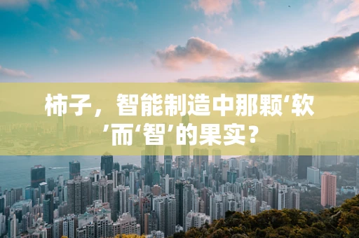 柿子，智能制造中那颗‘软’而‘智’的果实？