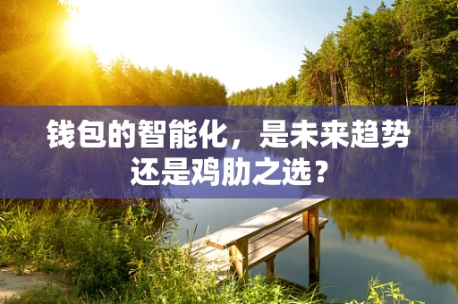 钱包的智能化，是未来趋势还是鸡肋之选？