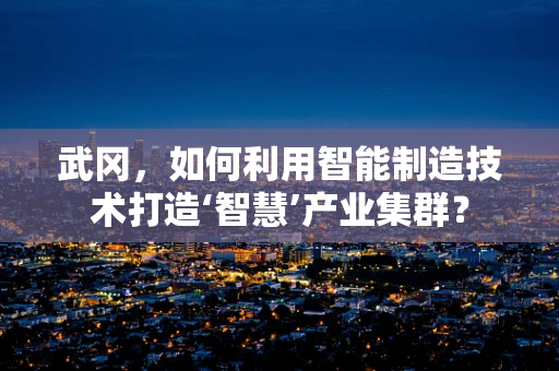 武冈，如何利用智能制造技术打造‘智慧’产业集群？