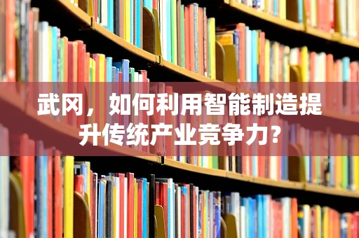 武冈，如何利用智能制造提升传统产业竞争力？