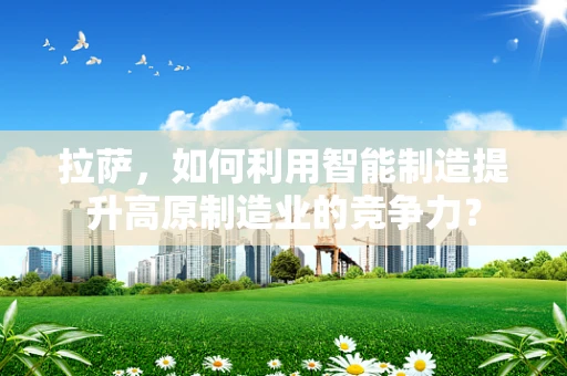 拉萨，如何利用智能制造提升高原制造业的竞争力？